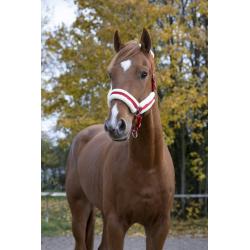 Cabezada De Cuadra Norton "confort"