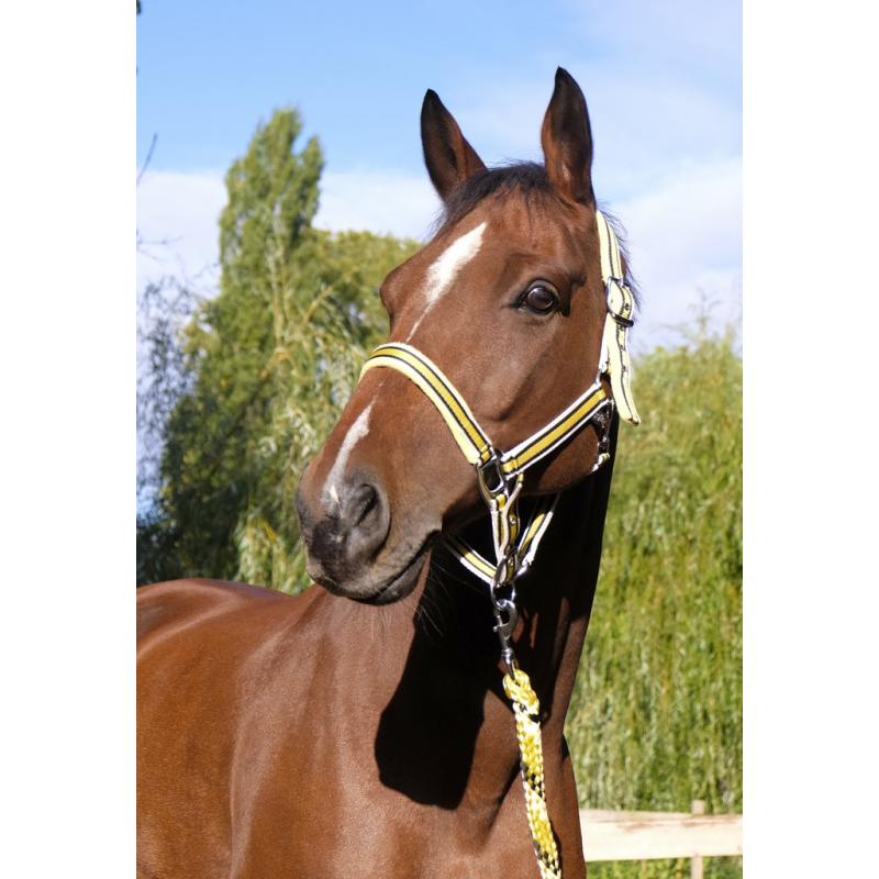 Cabezada De Cuadra Equithème "ligne"