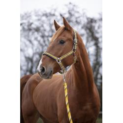 Cabezada De Cuadra Equithème "ligne"