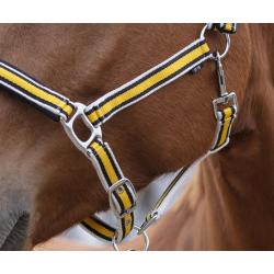 Cabezada De Cuadra Equithème "ligne"