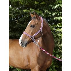 Cabezada De Cuadra Equithème "ligne"