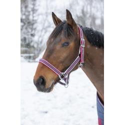 Cabezada De Cuadra Equithème "ligne"