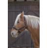 Cabezada Para Caballo De Tiro Norton Pro