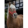Cabezada Para Caballo De Tiro Norton Pro