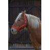 Cabezada Para Caballo De Tiro Norton Pro