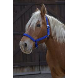 Cabezada Para Caballo De Tiro Norton Pro