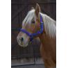 Cabezada Para Caballo De Tiro Norton Pro