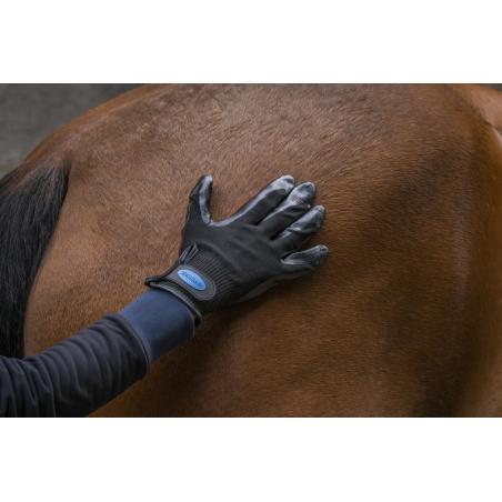 Guante De Limpieza Anti-Muda Hippotonic