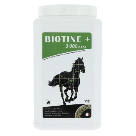 Odm Biotin +3000Mg/kg