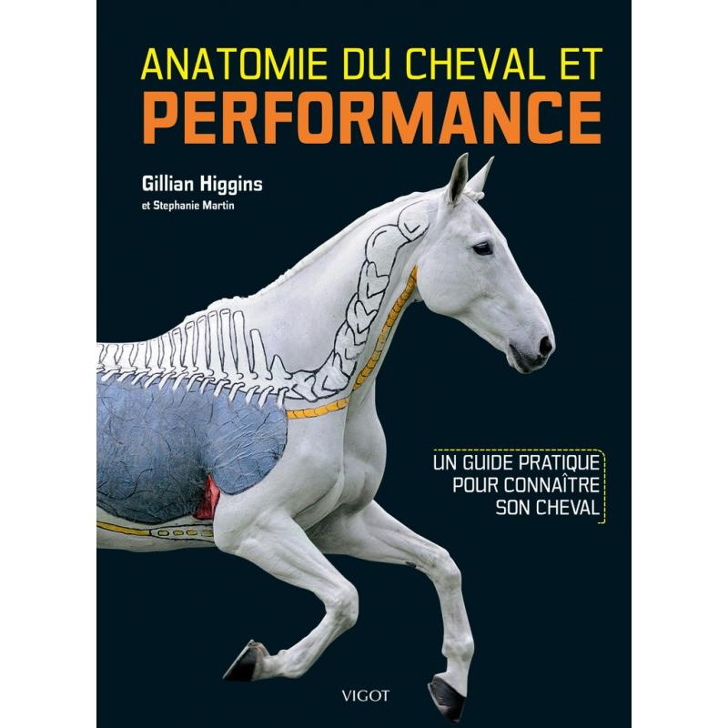 Anatomie Du Cheval & Performance