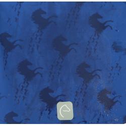 Softshell Equi-Kids "amandine"