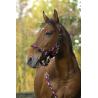Cabezada De Cuadra + Ramal Equithème "tressé"