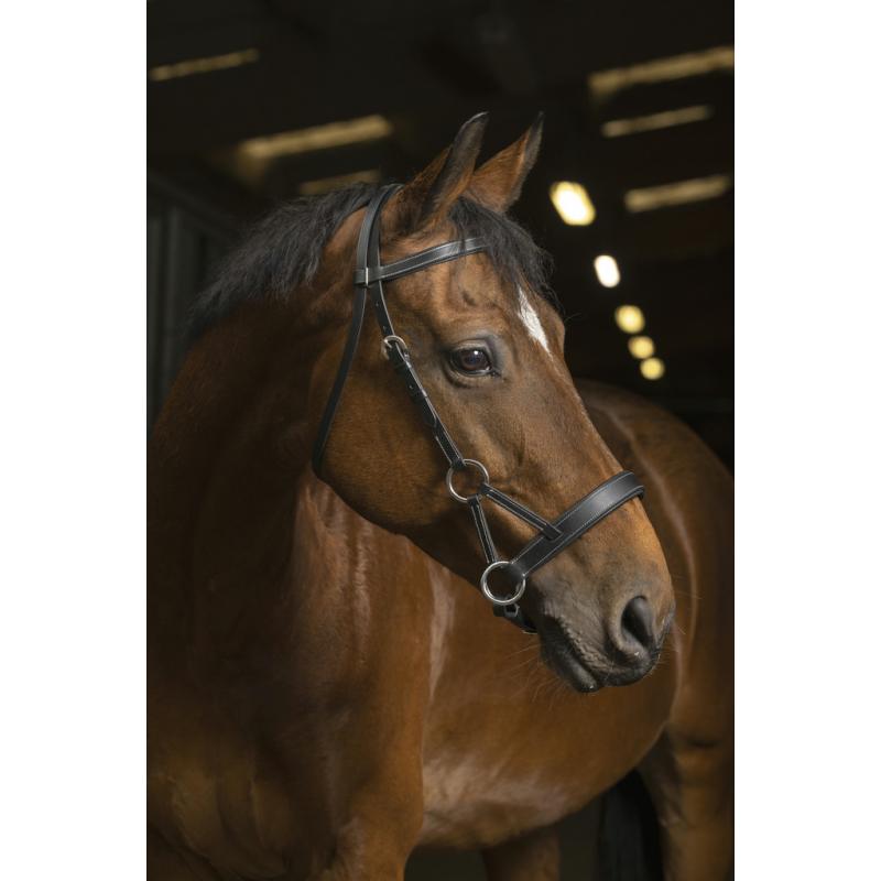 Side-Pull Norton Pro "confort"