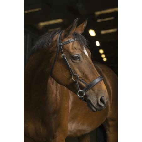 Side-Pull Norton Pro "confort"