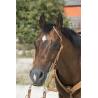Cabezada De Montar Westride By Franck Perret "1 Oreille"