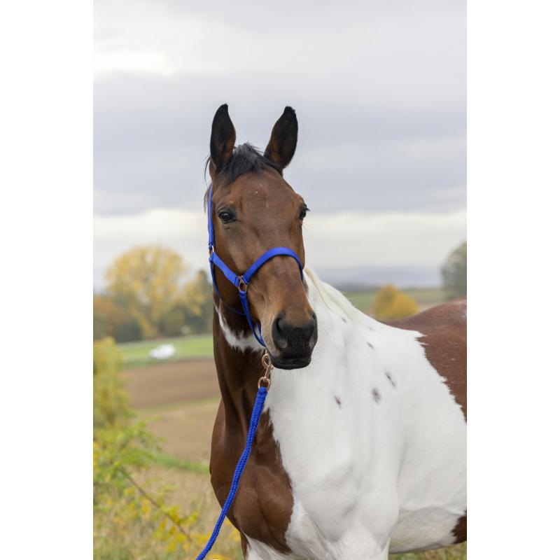 Cabezada + Ramal Norton "rose Gold"