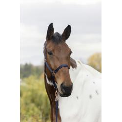 Cabezada + Ramal Norton "rose Gold"