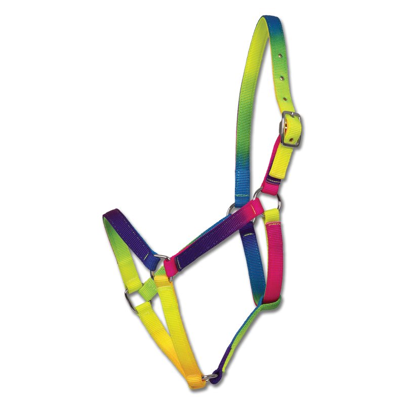 Cabezada Arcobaleno, Vb Y Wb