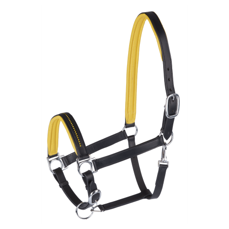 Cabezada De Cuero Diamond Star