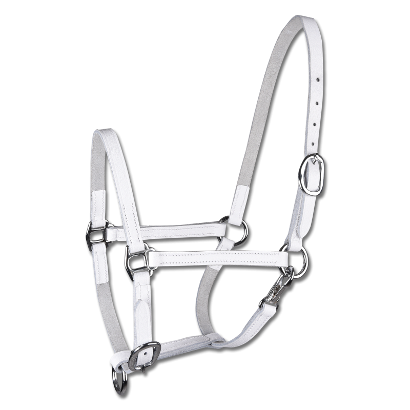 Cabezada Para Presentar Potros Star, Cuero