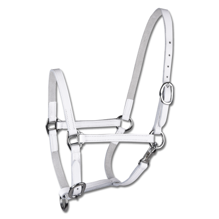 Cabezada Para Presentar Potros Star, Cuero