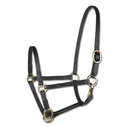 Cabezada Para Presentar Potros Star, Cuero