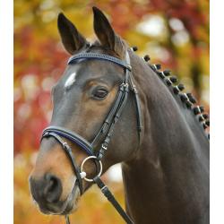 Brida Star Diamond