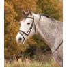 Brida Star Diamond