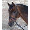 Brida Star Diamond
