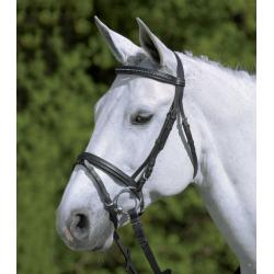 Brida Star Diamond