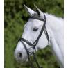 Brida Star Diamond
