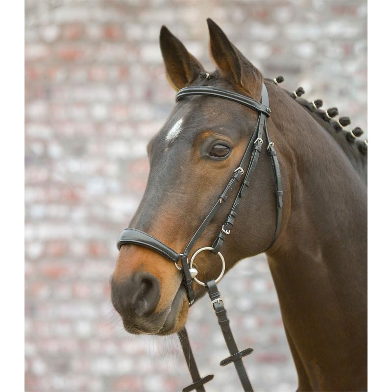 Brida Star Hannover