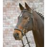 Brida Star Hannover