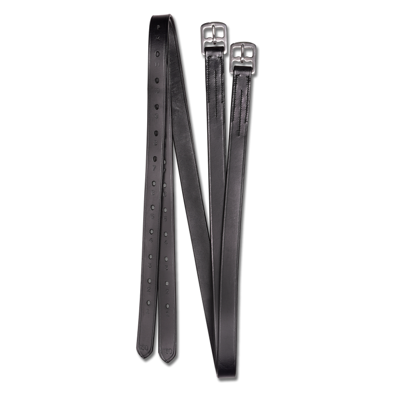 Aciones Waldhausen, X-Line