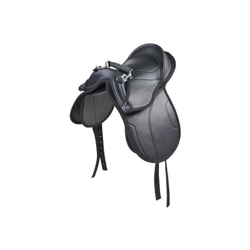 Silla De Shetty -Starter-