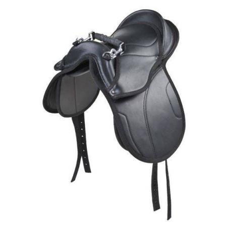 Silla De Shetty -Starter-