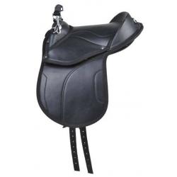 Silla De Shetty -Starter-