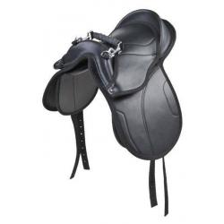 Silla De Shetty -Starter-