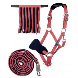 Cabezada Set Con Mosquetón De Seguridad & Mosq.