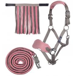 Cabezada Set Con Mosquetón De Seguridad & Mosq.